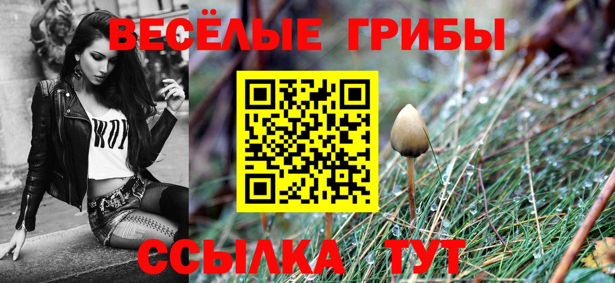 Галлюциногенные грибы Psilocybe  Вход с VPN  где можно купить   Вышний Волочёк 